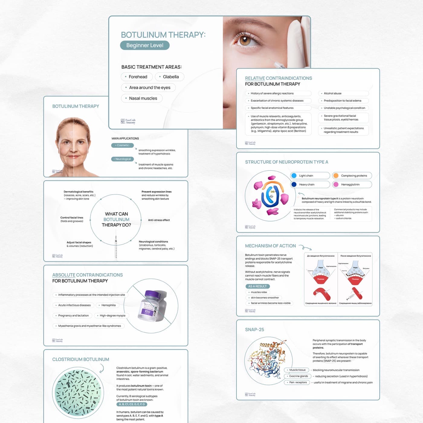 Catalogs & Presentations example 4